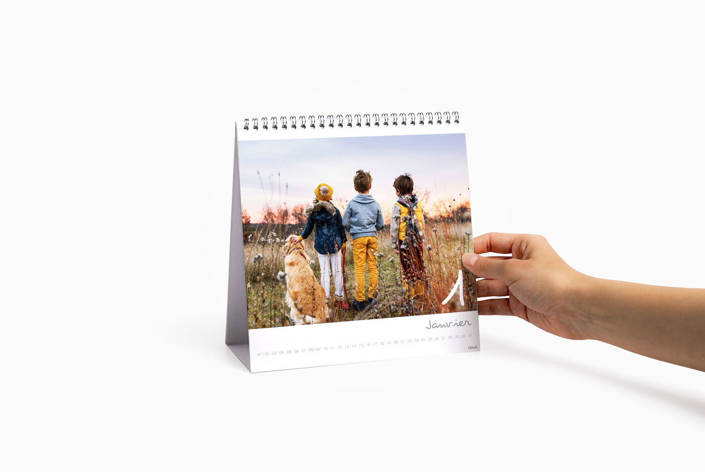 Trois enfants et un chien debout dans un champ, tenant un calendrier CEWE. Les enfants regardent au loin, le paysage est calme.
