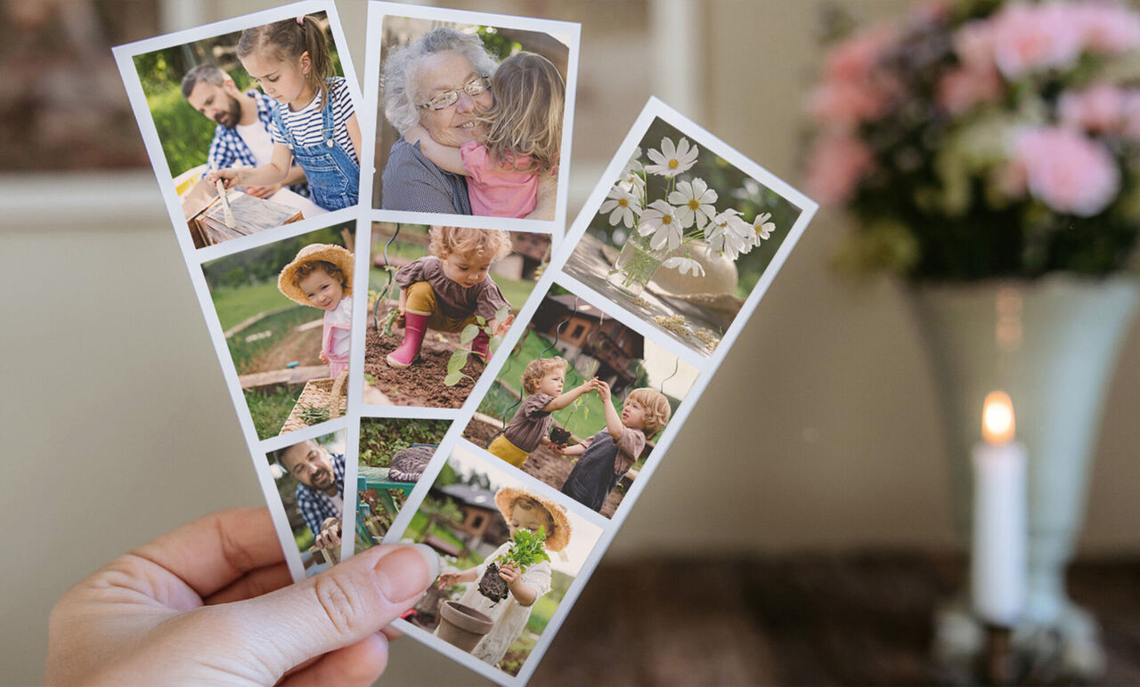 Trois cartes de vœux CEWE avec des photos de famille et des motifs floraux