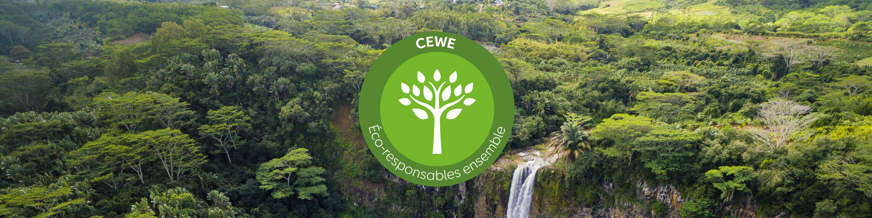 Vue aérienne d'une forêt verte avec une cascade et le logo CEWE.