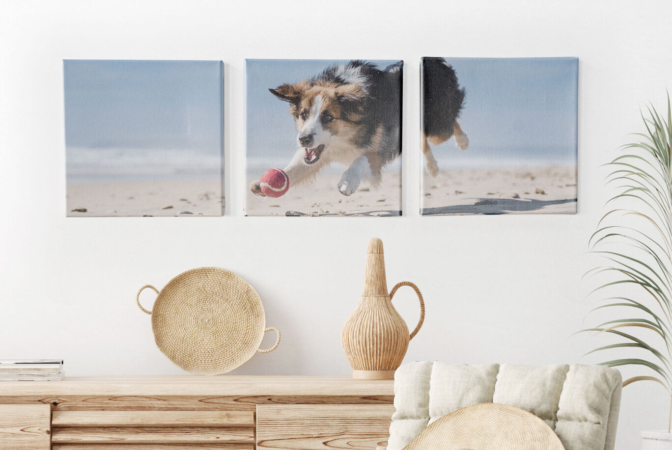 Un chien joyeux sautant sur la plage avec une balle rouge.