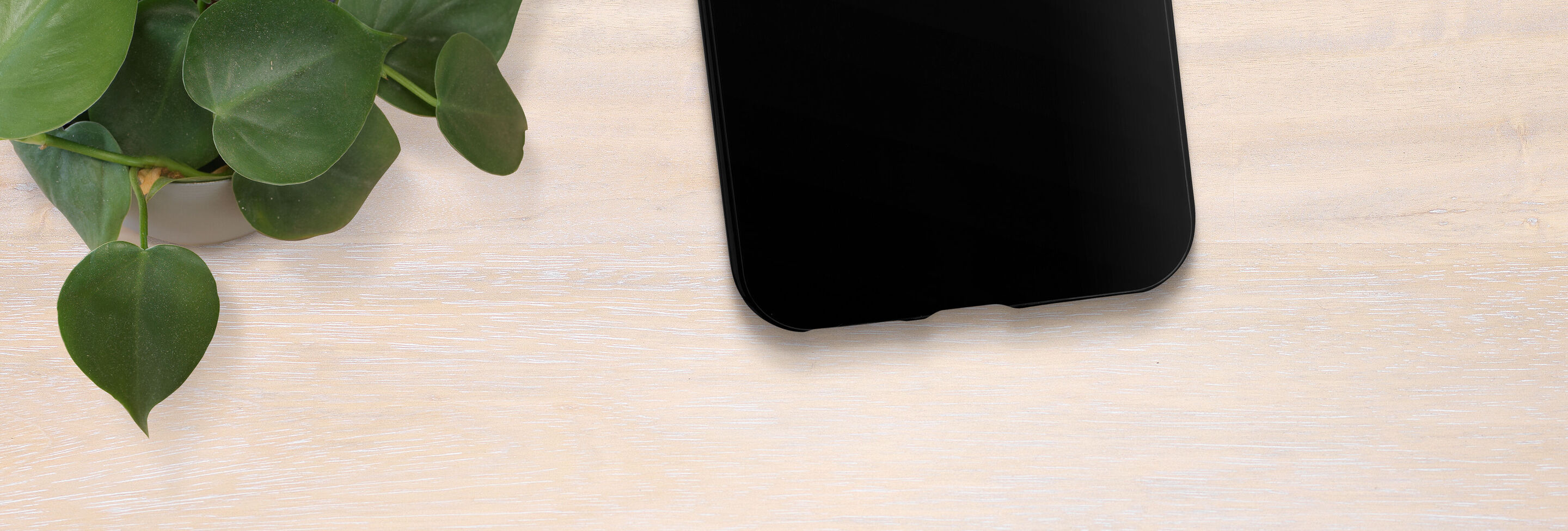Un smartphone noir posé sur une table claire avec une plante d'intérieur à côté.
