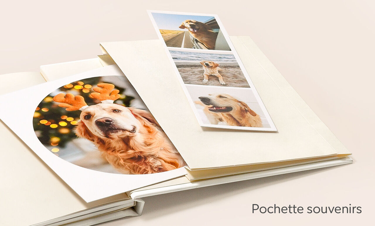 Pochette souvenirs à l'intérieur du livre photo mini avec des photos d'un chien