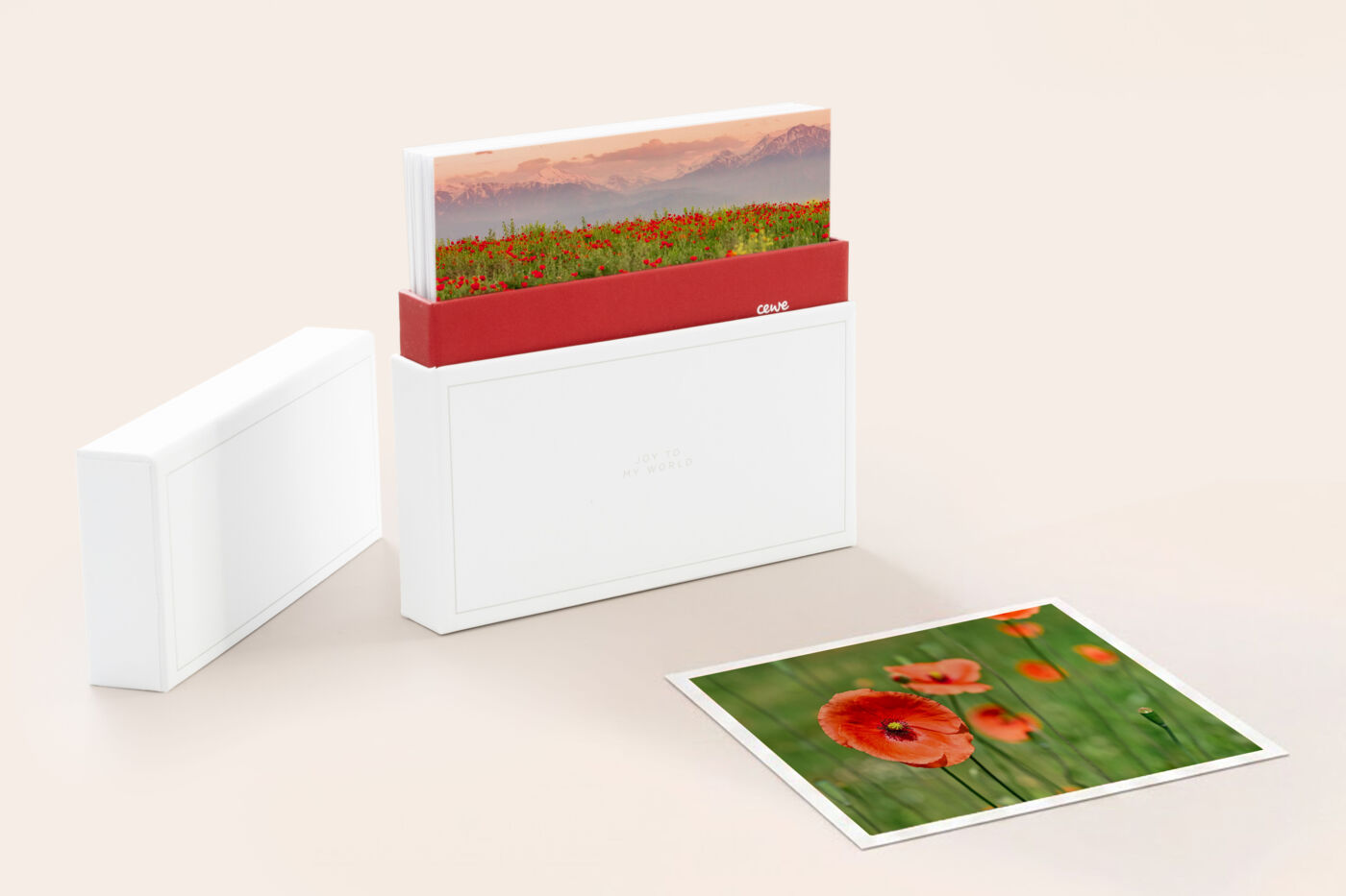 Tirages photo créatifs carrés disposés sur un fond clair dans une boîte
