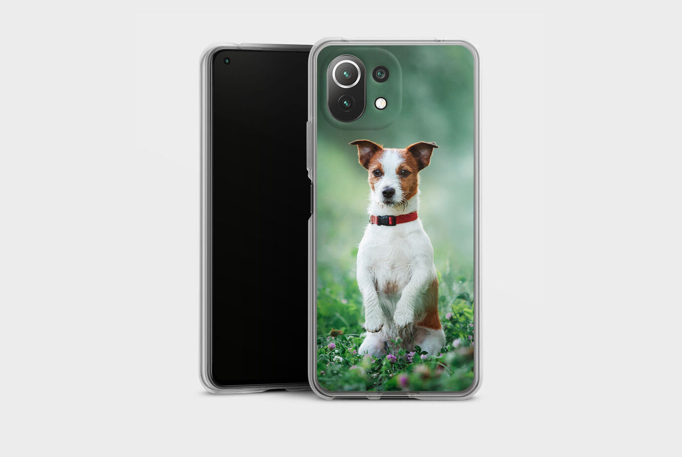 Un petit chien assis dans l'herbe et posant avec un collier rouge. L'image montre aussi une coque de smartphone.