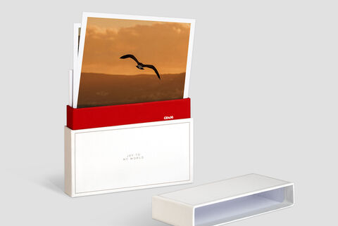 Un ensemble élégant avec des images et une boîte rouge et blanche qui diffuse la joie de partager des souvenirs