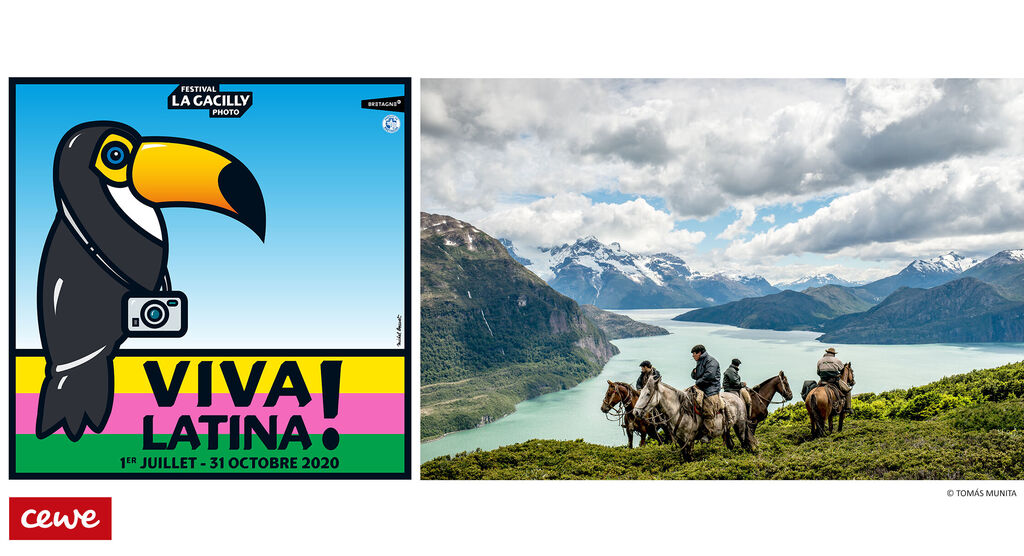 Affiche colorée avec un toucan et le texte "Viva Latina" pour un festival.