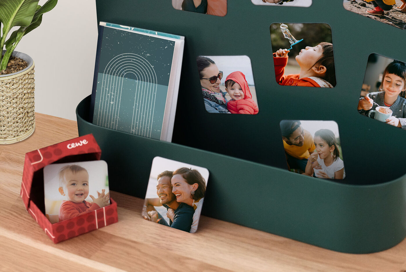 Un livre photo et souvenirs sur une table, entourés de photos et d'une plante.