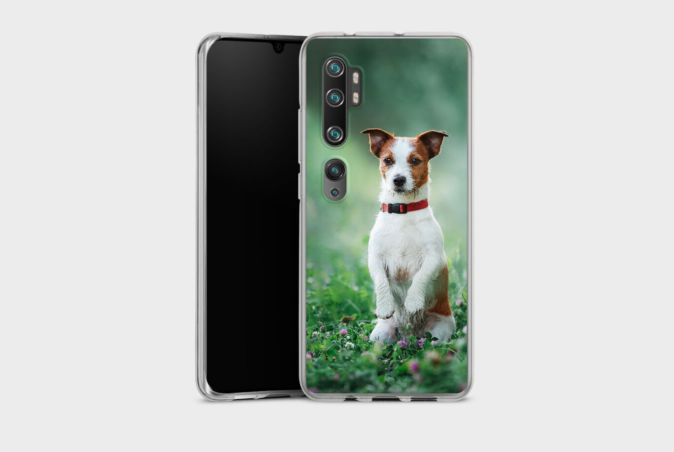 Un chien charmant dans un champ vert, assis joyeusement et décoré d'un collier rouge