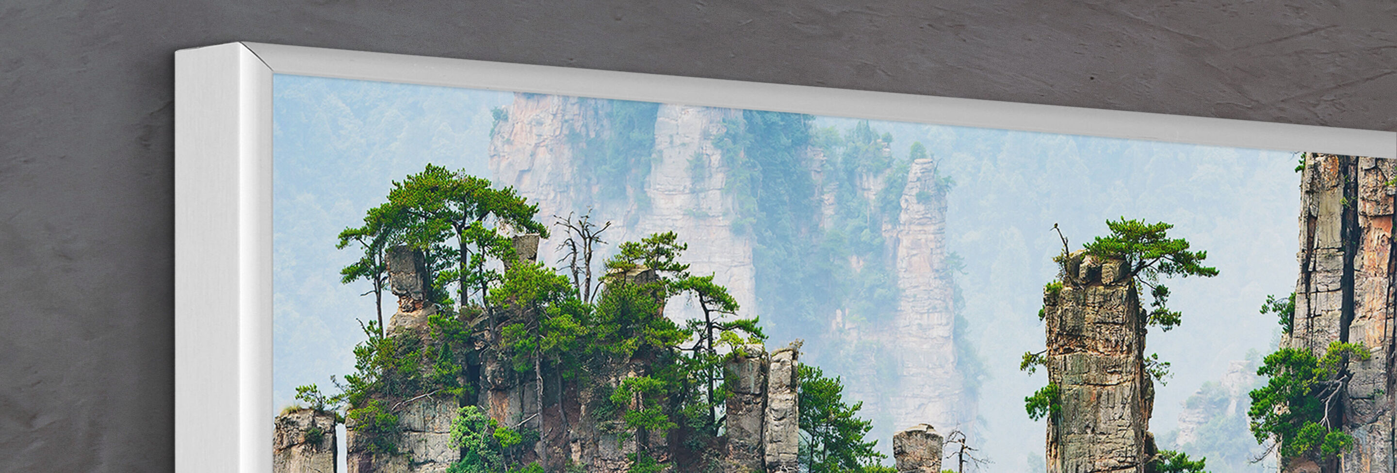 Formation rocheuse fascinante avec des arbres verts dans la nature