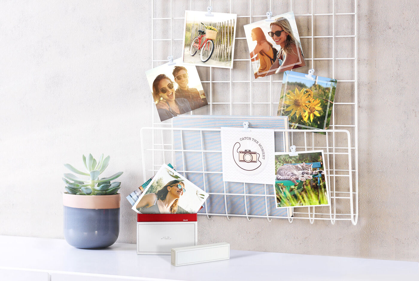 Une disposition créative de tirages photo sur une grille blanche. Un pot avec une plante est à côté, et un calendrier CEWE est en avant-plan. Les images montrent des souvenirs et des moments spéciaux.