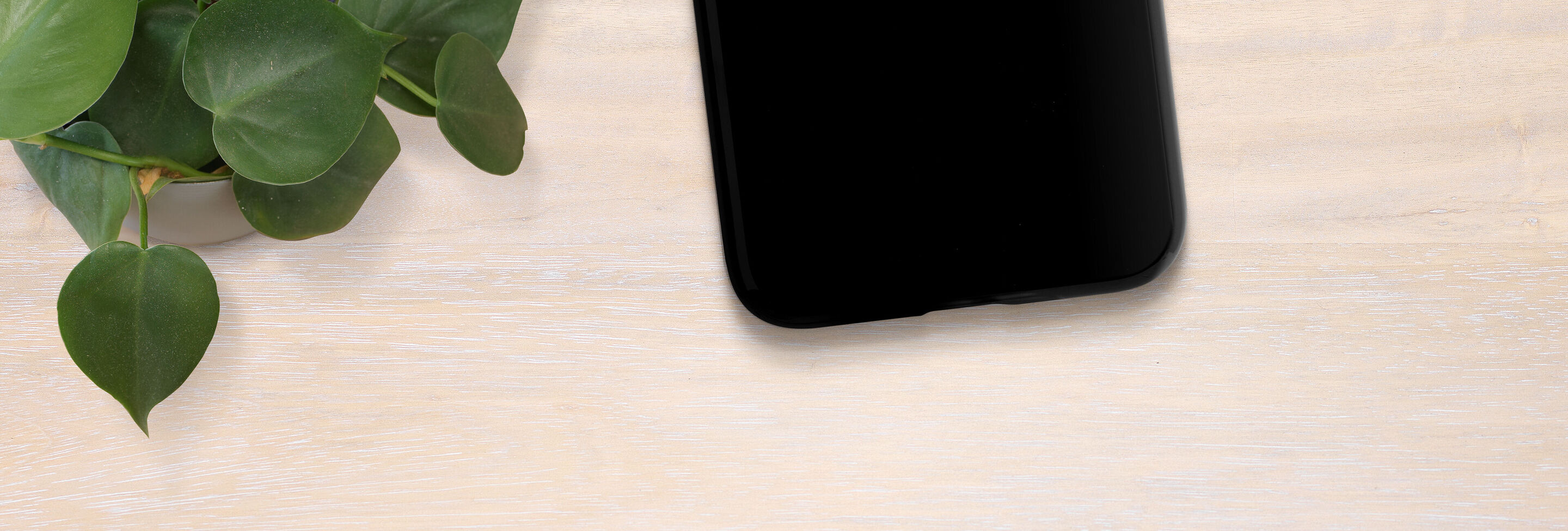 Un smartphone noir est sur un support en bois clair, à côté d'une plante verte.