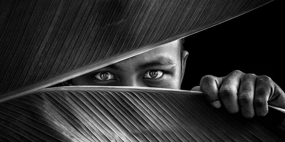 Une main touche doucement une grande feuille verte dans l'obscurité. La texture de la feuille est bien visible.