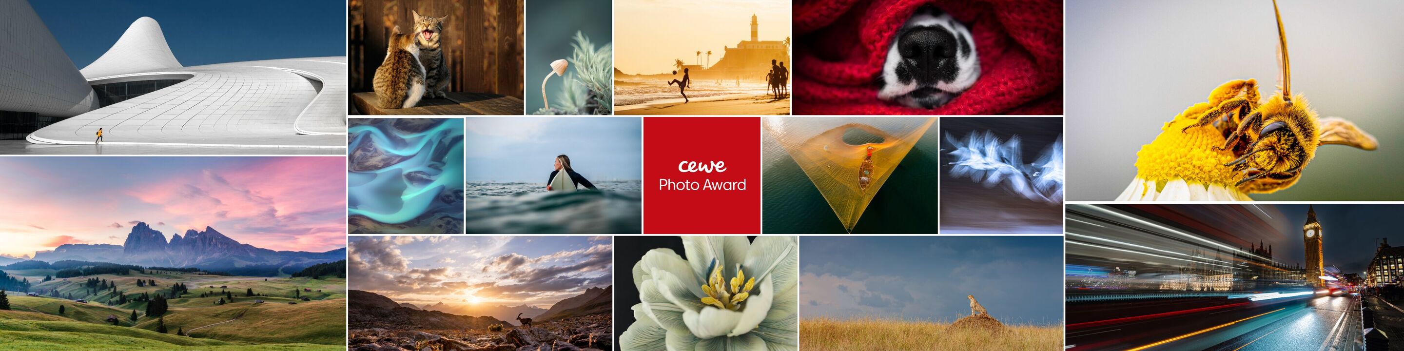 Concours photo 2026-2027