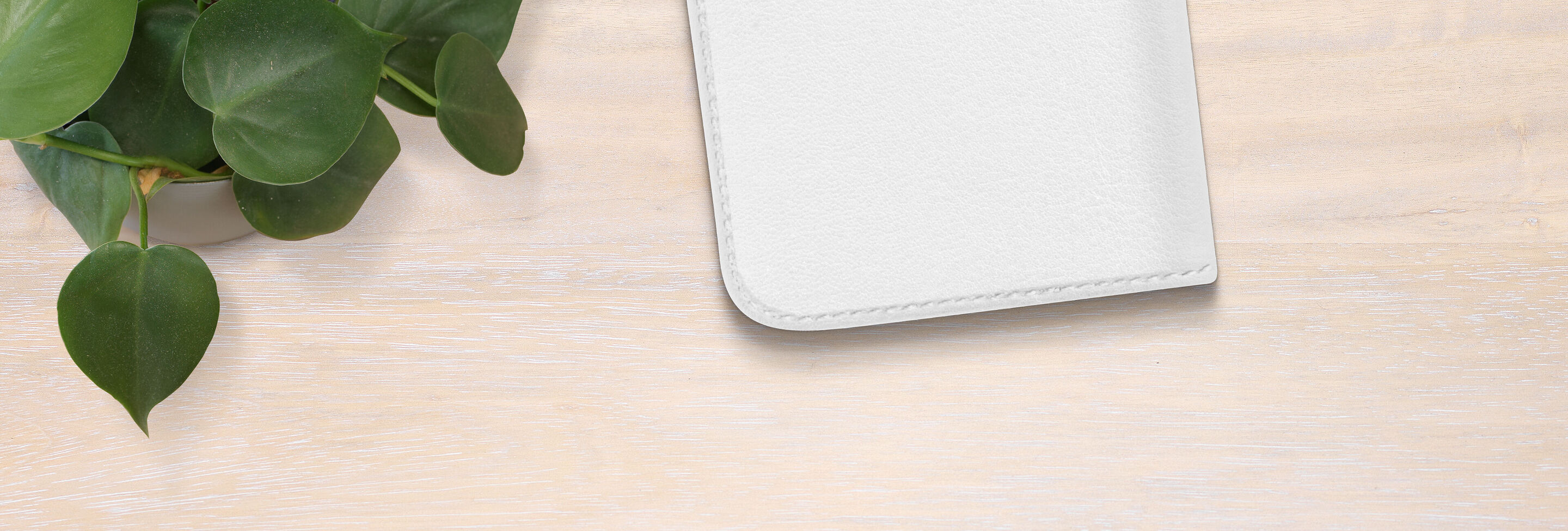 Un bel organiseur de notebook blanc sur une table lumineuse, entouré d'une plante en pot.