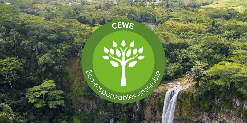 Chute d'eau entourée d'une végétation luxuriante, logo CEWE avec symbole d'arbre