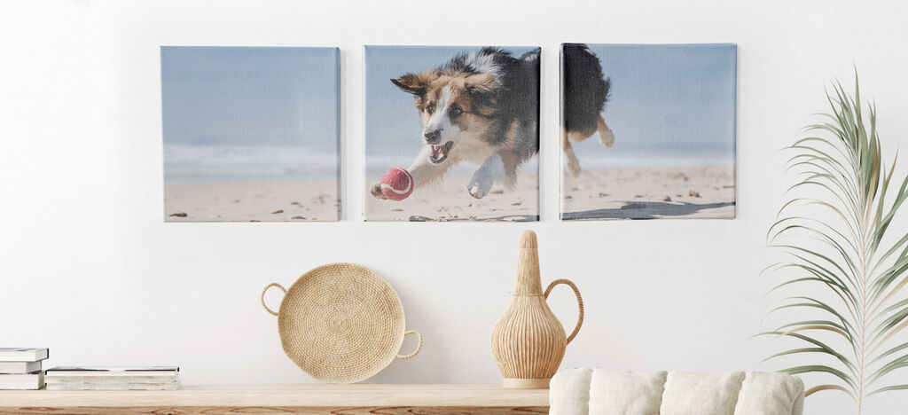 Un chien joyeux saute sur la plage et attrape une balle