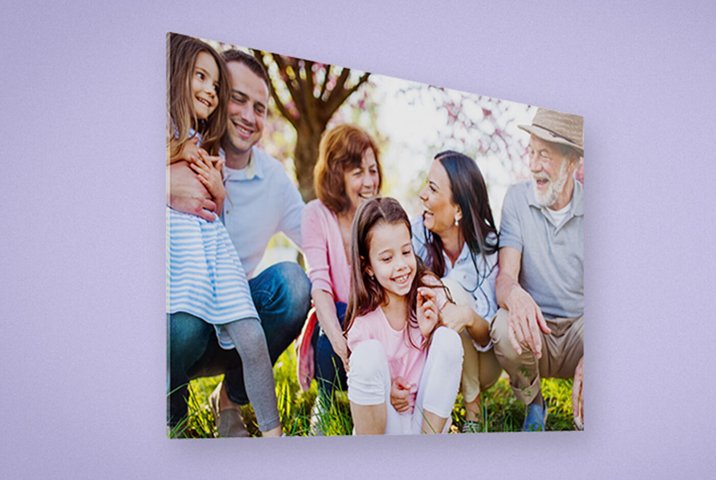 Famille pose ensemble en plein air sur une prairie, entourée d'arbres et d'herbe en fleur. Un moment joyeux plein de rires.