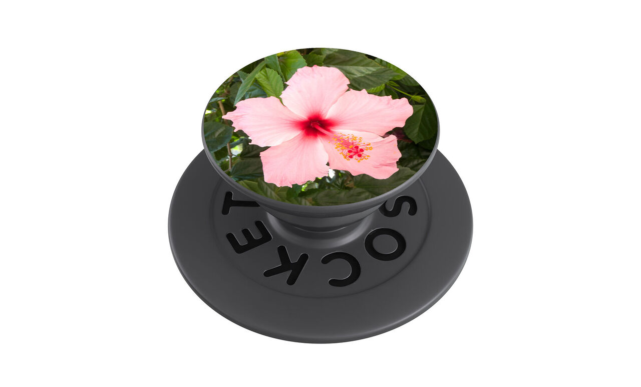 PopGrid en vue inclinée
