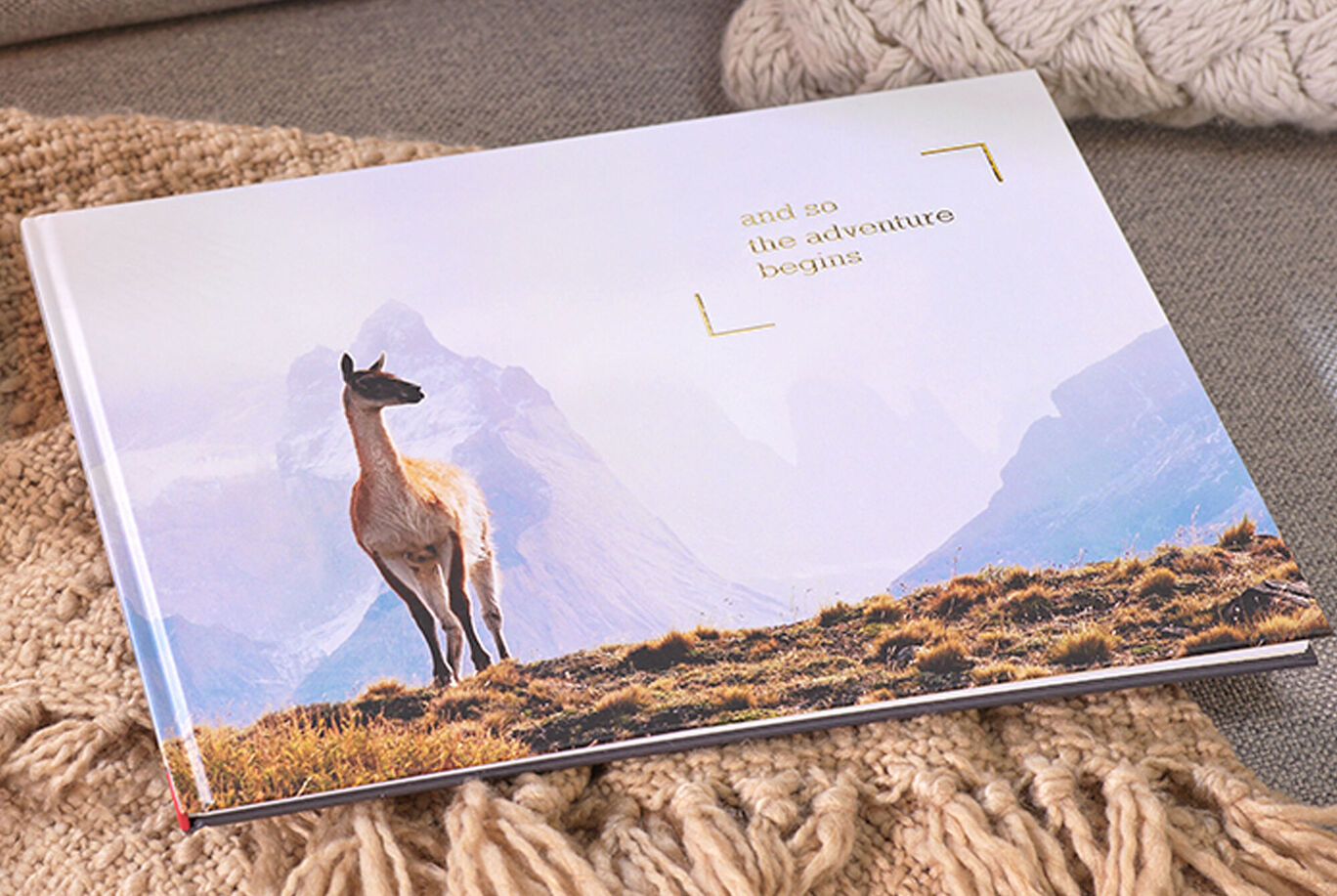 Un magnifique album photo avec une image d'un lama dans un paysage de montagne.