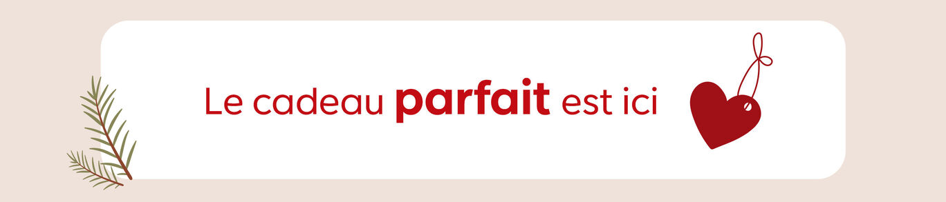 Bannière le cadeau parfait est ici
