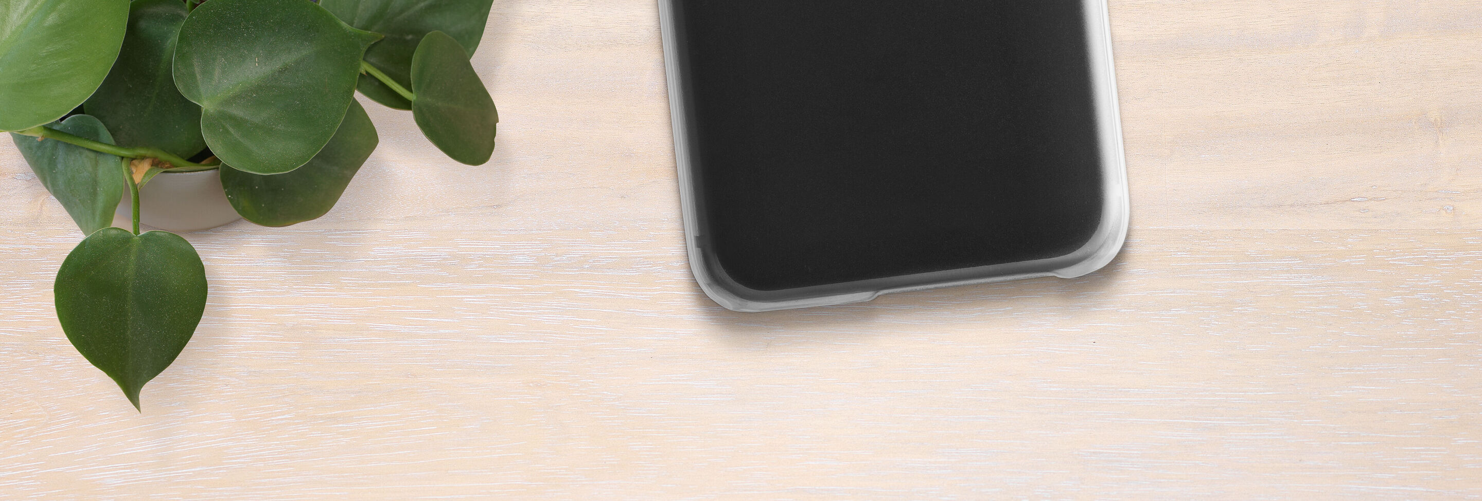 Téléphone sur une surface en bois clair avec une plante