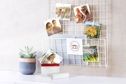 Un mur décoratif avec des photos et une plante en pot.