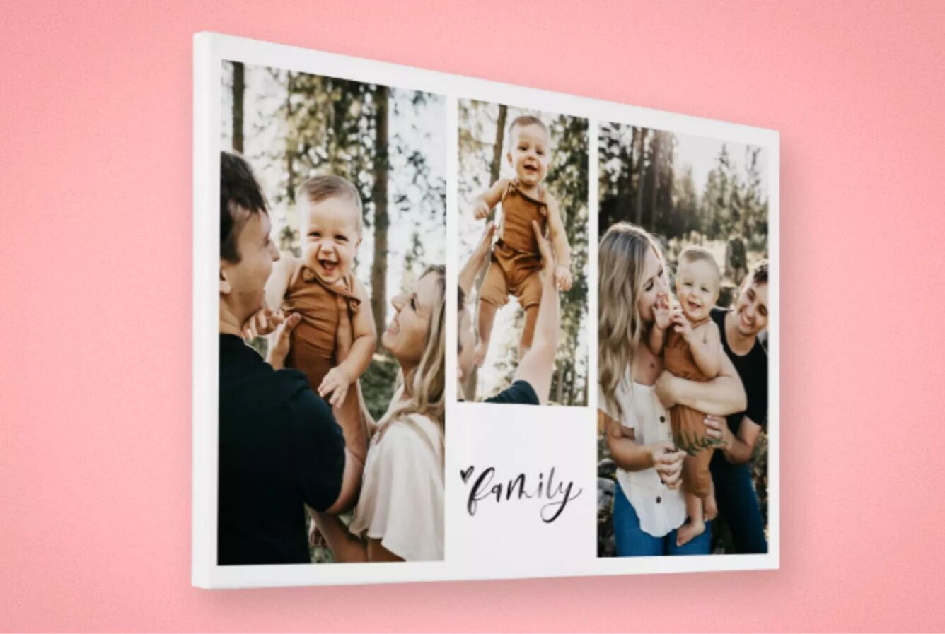 Photo de famille dans un beau cadre. La famille pose joyeusement dans la nature.