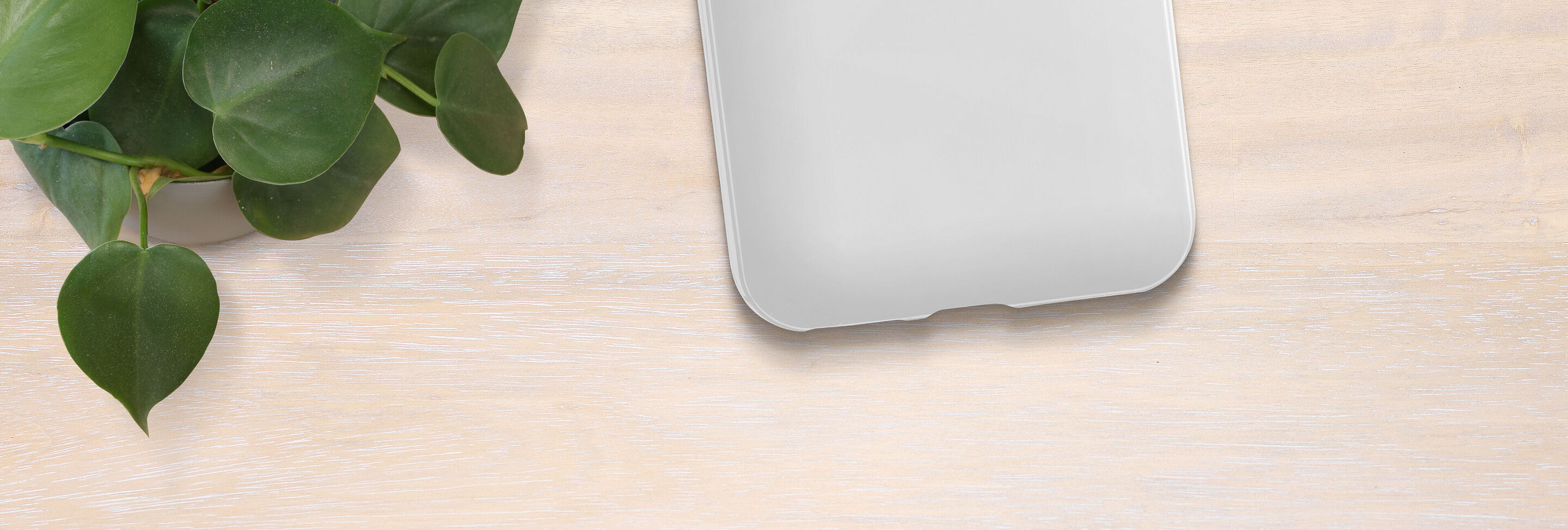 Une feuille verte d'une plante est posée à côté d'une valise grise sans étiquette sur une table claire.