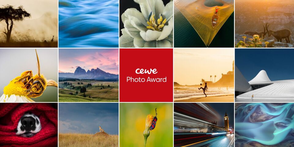 Concours photo 2026-2027
